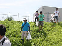 GOMI070333.JPG - 20,085BYTES